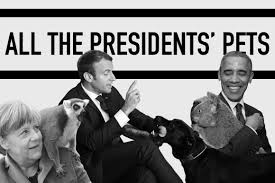 All The Presidents Pets Politico
