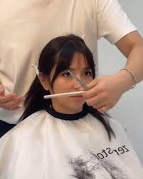 New pfp since missy decided to chop her hair short Procreate :v