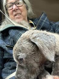 This baby is running around 406 and 420 rd in oologah. Super skinny.