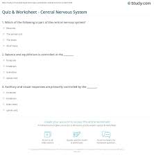 Take this quiz about your brain and nervous system, the system that controls everything you do. Quiz Worksheet Central Nervous System Study Com