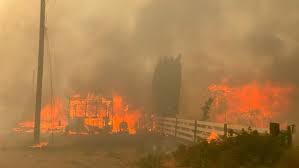 First, for the largest total area burnt in a fire season in recorded history; Residents Grab What They Can Before Escaping Wildfire Near Lytton B C Cbc News