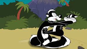 Depicted as a french striped skunk, pepé is constantly on the quest for love.however, his offensive skunk odor and his aggressive pursuit of romance typically cause other characters to run away from him. Pepe Le Pew Sayings Top 6 Pepe Le Pew Birthday Quotes Famous Quotes Sayings About Pepe Le Pew Birthday Pepe Le Pew Know Too Much Attractiveness Is Important