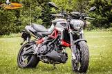 APRILIA-SHIVER