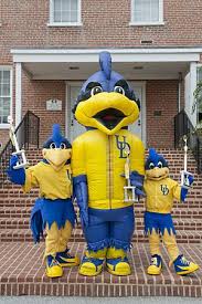 Ace purple — official mascot of the purple aces of the university of evansville. Delaware Blue Hens Youdee Air Youdee And Baby Blue Make Up The Ud Mascot Team Delaware Blue Hens Pittsburgh Panthers Mascot