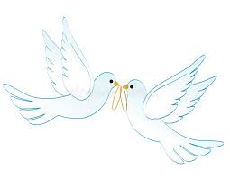 Hallo, wir wollen bei der hochzeit von freunden tauben fliegen lassen! Hochzeitstauben Vektor Abbildung Illustration Von Verbindung 7383221