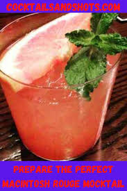 There are cocktails that either because they have few ingredients or because they are prepared in a jiffy, they are simple the gin and tonic is a traditionally english cocktail, but it has many variations, preparing it will not take you more than 1 minute and is ideal. Prepare The Perfect Macintosh Rouge Mocktail In 2021 Cocktail Drinks Recipes Recipes Mocktails