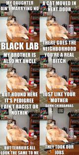 Redneck Retriever Justpost Virtually Entertaining