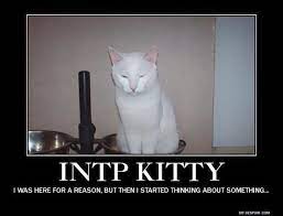 I M Not All That Fond Of Cats But I Totally Relate To This Predicament Intp Personality Intp Intp Personality Type