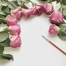 لرؤية التصميم على الخلفية يوجد في حساب Noory Vip 3 Noory Vip 3 Noory Vip 3 خامات خلفيات Flower Frame Flowers Photography Beautiful Rose Flowers