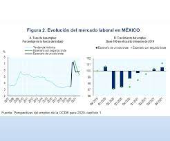 En méxico, siete de cada 10 ofertas de trabajo tienen como requisito ser menor de 40 años de edad y contar con al menos dos años de experiencia en el. Impacto De La Pandemia En Empleo Mexicano Sera Menor Que En Otros Paises De La Ocde Plastics Technology Mexico