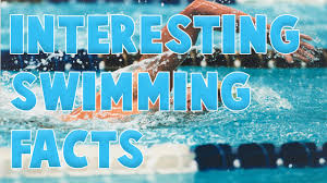We're about to find out if you know all about greek gods, green eggs and ham, and zach galifianakis. Swimming Jokes And Swimming Trivia Simply Swim Uk