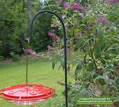 We did not find results for: How To Attract Hummingbirds With Flower Gardening Water Features Fountains Flowering Shrubs Flowering Trees And Nectar Plants