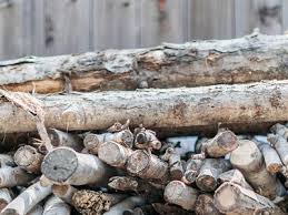We even offer firewood delivery to your doorstep. 6 Places To Find Free Firewood Near You