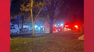 Looking for boise tree service? 2 Residents Firefighter Hurt In House Fire In Boise S North End Ktvb Com