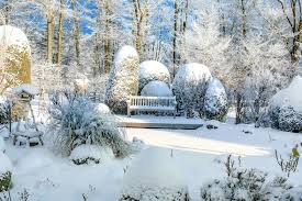 Kein problem, sofern sie die speziellen voraussetzungen der da es im winter früh dunkel wird, sollten sie dies nutzen, um ihren garten in ein gutes licht zu rücken. Garten Im Winter Diese 7 Pflegemassnahmen Sind Wichtig