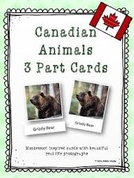 Canadian Animals 3 Part Cards Are A Fantastic Addition To The Pre K Grade 2 Classroom Montessori Classroom Canadian Animals Esl Lessons Montessori Classroom