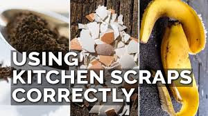 We would like to show you a description here but the site won't allow us. How To Use Eggshells Banana Peels And Coffee Grounds In The Garden Youtube