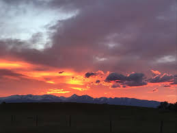 Check spelling or type a new query. Big Dog Construction Llc Home Facebook