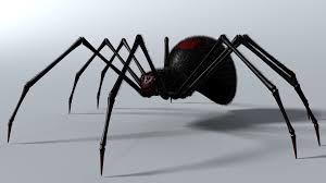 If you want to download black widow spider, please click the wallpapers or the wallpaper background download links and the wallpaper will be downloaded in full size. Black Spider Hd Wallpaper Background Image 1920x1080 Id 779448 Wallpaper Abyss