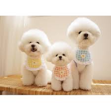 There is a long list of why dogs are such a wonderful companion to have, some of the reasons include their loyal nature, their loving disposition, and protective instincts. Ins Explosive Plaid Small Flower Pet Scarf Korean Dog Dog Mouth Scarf Scarf Dog Bib Cat Small Dog Shopee Philippines