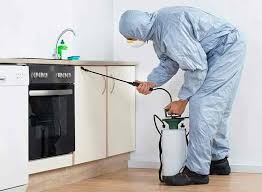 We understand the frustration involved with having a pest problem at home. Safe Home Pest Solution Services Ayodhya Bypass Road Ayodhya Nagar Pest Control Services In Bhopal Justdial