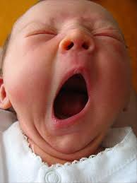 Image result for Yawning