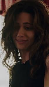 Frank’s Brick Wall in the House