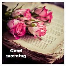 Pin By Mari R On Good Morning Book Flowers Beautiful Flowers Beautiful Roses