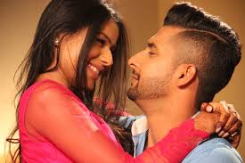 Scrutiny: Zee Anmol presents Jamai Raja..