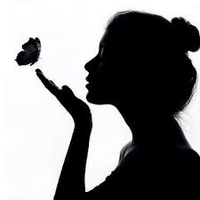 Kết quả hình ảnh cho bướm