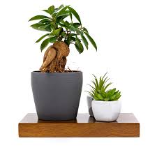 Its water resistant properties make it perfect for use in the shower, spa and even outdoors. Pureboo Real Teak Wood Floating Wall Shelf Set With 3 Wall Mounted Shelves And Invisible Mount Brackets To Match Any Home Decor In Bathroom Kitchen Bedroom Living Room Or Office Buy Online