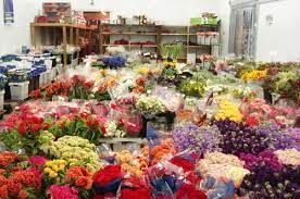 Maybe you would like to learn more about one of these? Such Pretty Things Pretty Resources Potomac Floral