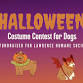 Halloween Costume Contest for Dogs event image