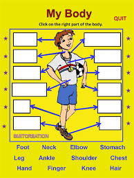 When this occurs, it can result in retained blood around the heart. Body Parts Online Presentation
