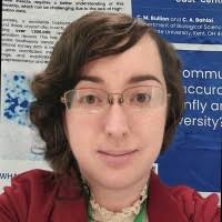 1200+ "Bullion" profiles