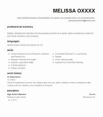 Example Resume With No Job Experience Sample Cover Letter For Analyst Position