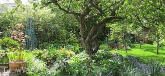 Planning A Mini Orchard Orchard Design Orchard Garden Small Gardens