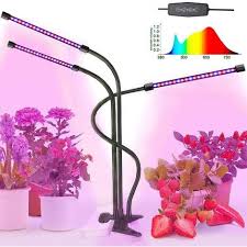 Ne serve uno con un ph intorno a 6,5, pressiamolo bene e mettiamoci della pacciamatura, molto utile per mantenere la temperatura e umidità costanti. Lampada Per Crescita Delle Piante A Led Da 30 W 360 Regolabile A Tre Teste