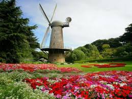Resultado de imagem para paisagens de flores