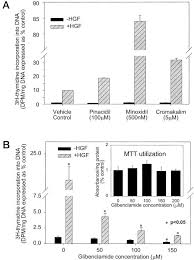 Blood flows through the liver. Katp Channels Regulate Mitogenically Induced Proliferation In Primary Rat Hepatocytes And Human Liver Cell Lines Journal Of Biological Chemistry