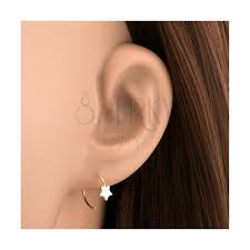 Round channel band earrings with s925 silver , length : Round Earrings In Yellow 14k Gold Small Five Point Star Jewellery Eshop Eu