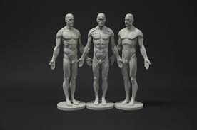 A perfect pack for artists having troubles with anatomy. Buy Male Anatomy Figure Collection Planar Ecorche And Skin Anatomical Reference For Artists In Cheap Price On Alibaba Com