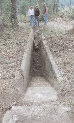 Image result for dip vat