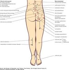Pin On Blood Sugar Lowering