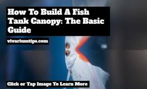 Pin On Vivariumtips My Articles