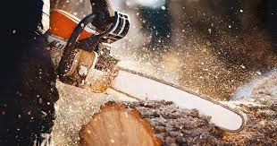 The Best Chainsaws of 2022 - Best-Selling & Top Rated Chain Saws