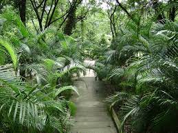 lake gardens kuala lumpur places to see kuala lumpur lake garden