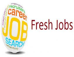 Noida Fresher Job At Vivo Oppo Ibm Hcl Ashok Leland Bajaj Tata In 2020 Jobs For Freshers Job Marketing Jobs