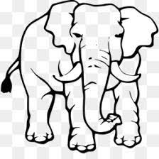Pekanbaru art, mengerjakan pesanan sketsa wajah/ lukis wajah realistis. Elephant Head Png Elephant Headdress Cleanpng Kisspng