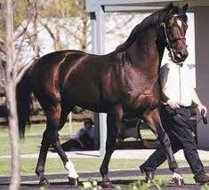 The Biggest Horse Racing World Records Ever Set
